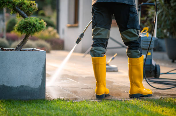Best Pressure Washing Near Me  in Columbus, MT
